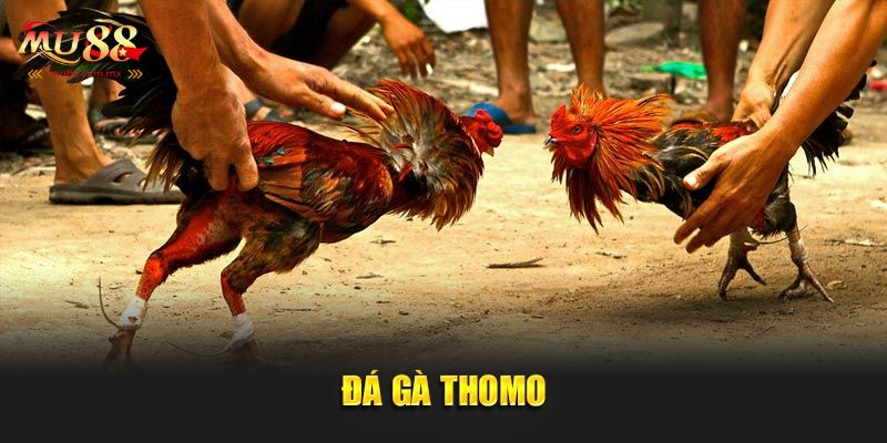 Mẹo tham gia hiệu quả 