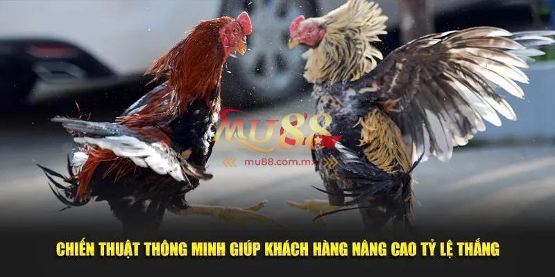Kinh nghiệm tham gia hiệu quả