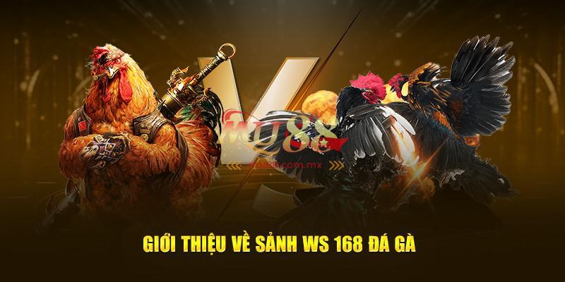 Đôi nét về đá gà WS168