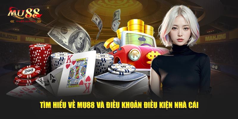 Điều khoản và điều kiện quy định giúp duy trì sân chơi công bằng