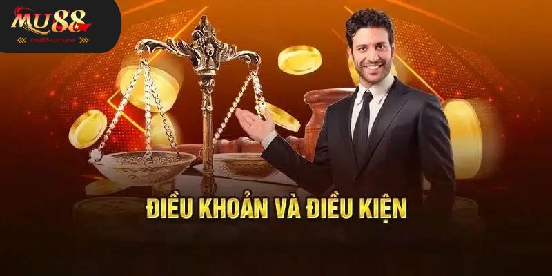 Điều Khoản Và Điều Kiện