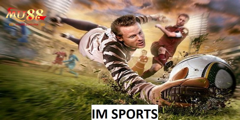 IM Sports là sảnh game giải trí chất lượng