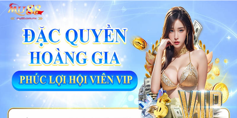 Thưởng thăng cấp VIP với phúc lợi hấp dẫn